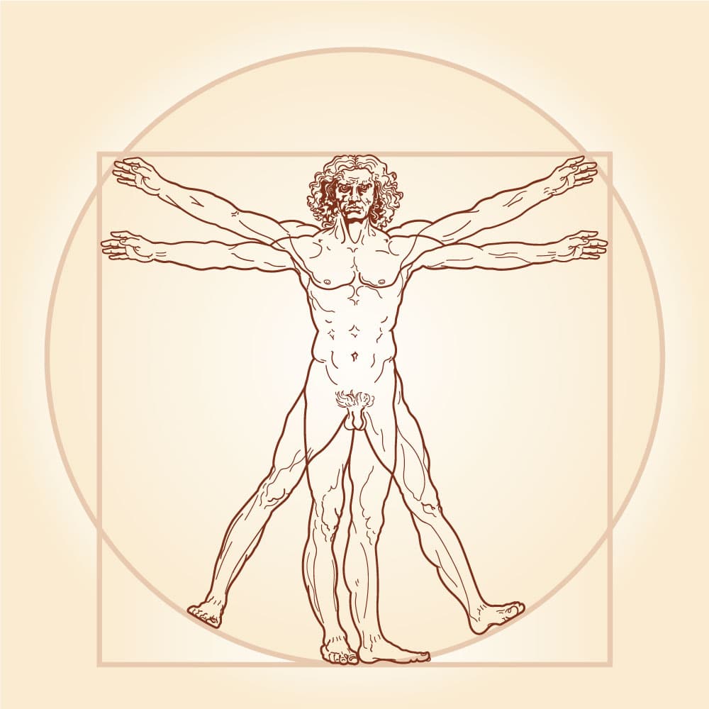 Leonardo da Vincin kuuluisa ihmisruumiin mittasuhteita käsittelevä piirros Vitruviuksen mies
