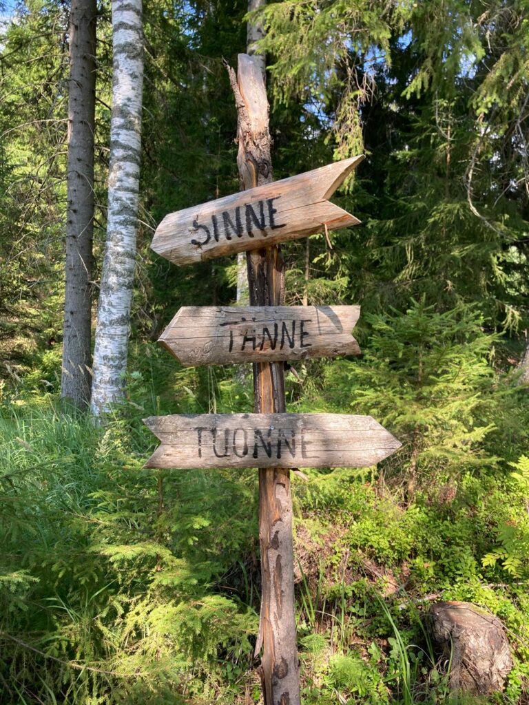 Puinen tienviitta metsässä. Nuolet osoittavat sinne, tänne ja tuonne.